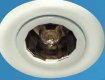 Waco Downlight Starlight Pressed Steel 12V 50 Watt