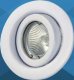 Waco Downlight Straight - Tilt 12V 50 Watt