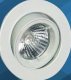 Waco Downlight Straight Twistlock Tilt 12V 50 Watt