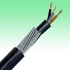 2.5mm Swa (Armoured) Cable 2 Core - Per Meter