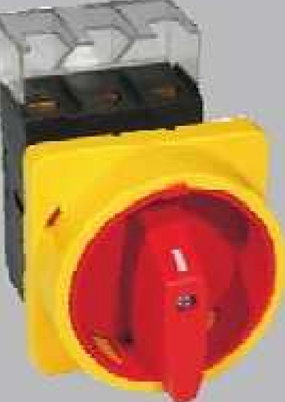 Padlockable Panel Mount Isolator 80x70x75 3-Pole 125 Amp