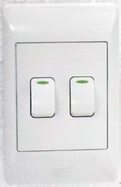 2 Way Light Switch 50mm X 100mm - Click Image to Close
