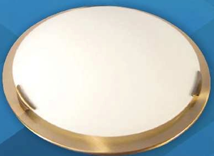 Waco 300mm Round Opal glass - Click Image to Close